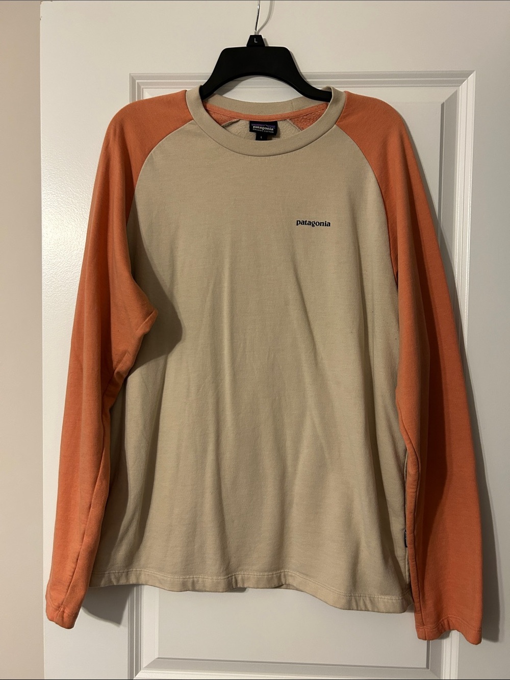 Men’s Patagonia Two-Tone Long Sleeve Shirt